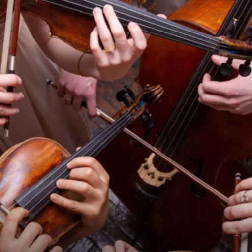 American Classical Orchestra Chamber Ensemble Miami Concert Tickets