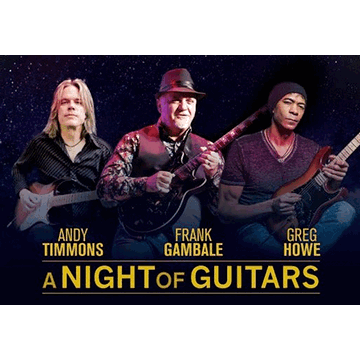 Andy Timmons Tickets