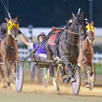 Breeders Crown Tickets