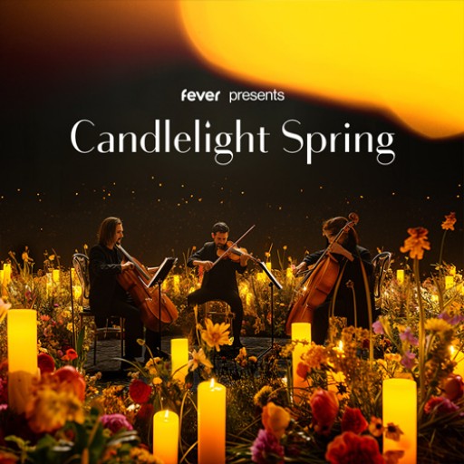Candlelight: A Tribute to Beyonce Miami Tickets