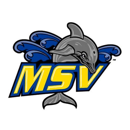 College of Mount Saint Vincent Dolphins Basketball