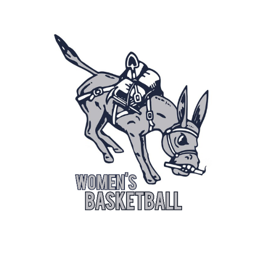Colorado School of Mines Women's Basketball