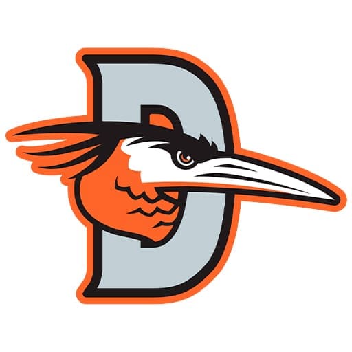 Delmarva Shorebirds Tickets