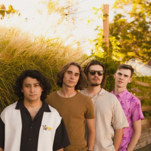 Flamingos in the Tree Miami Concert Tickets