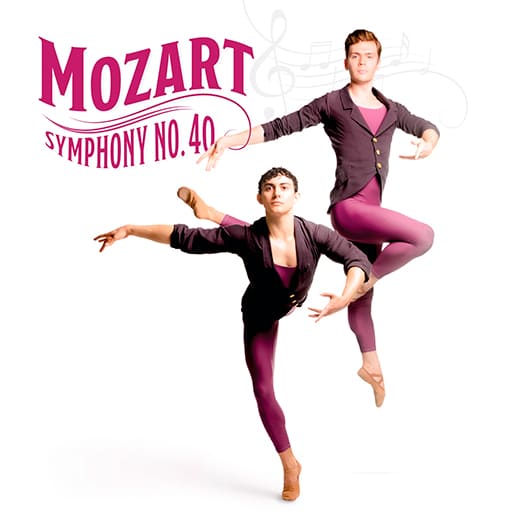 Mozart Symphony No. 40 Miami Concert Tickets