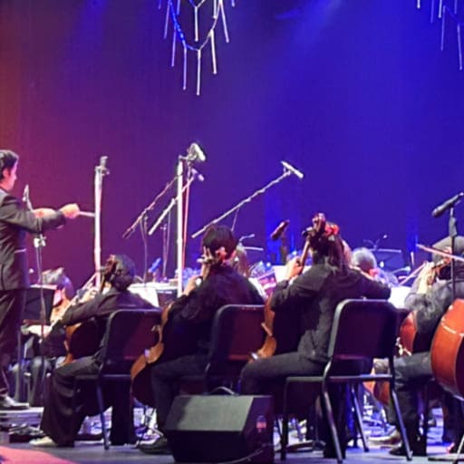Musical Mindfulness Miami Concert Tickets