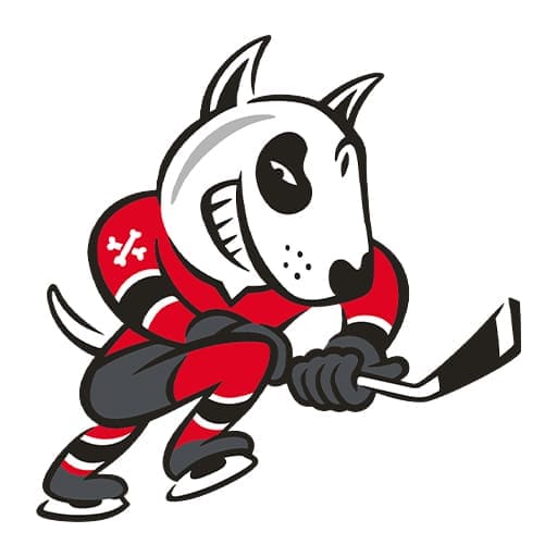 Niagara IceDogs Tickets