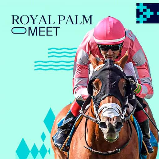 Royal Palm Meet Tickets