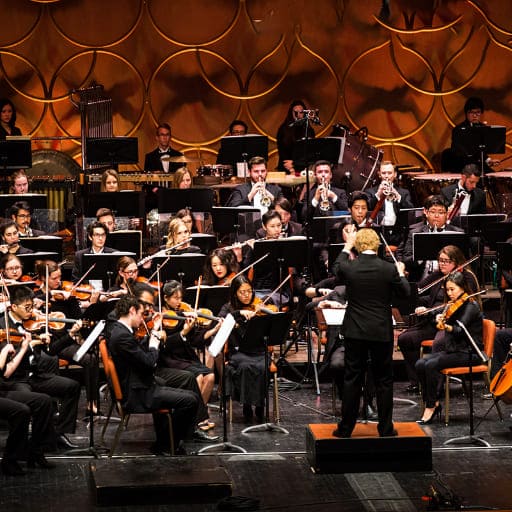 Sibelius First Symphony Miami Tickets