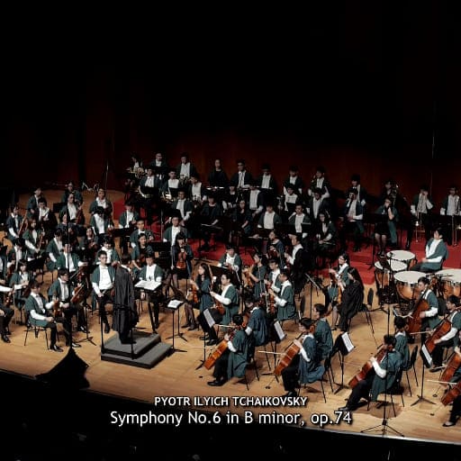 Tchaikovsky Symphony No. 6 Miami Tickets