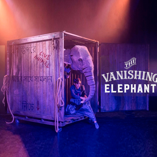 The Vanishing Elephant in Miami