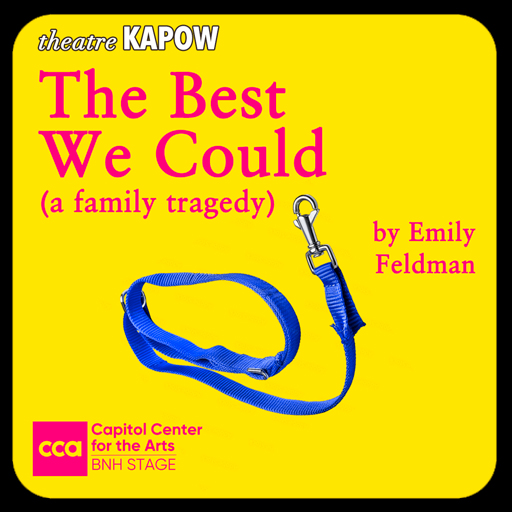 Theatre KAPOW: The Best We Could Miami Tickets